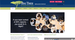 Desktop Screenshot of bigtreestrategies.com